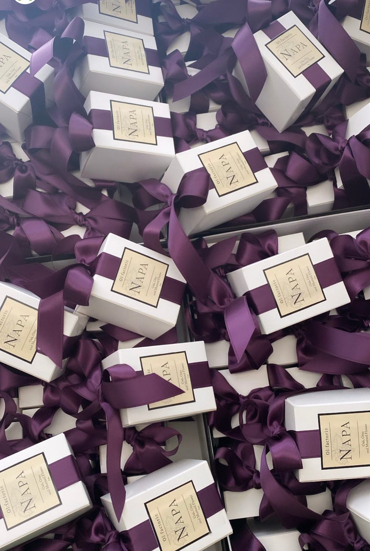 Napa Candle - Olfactorie Candles + Apothecary Boutique