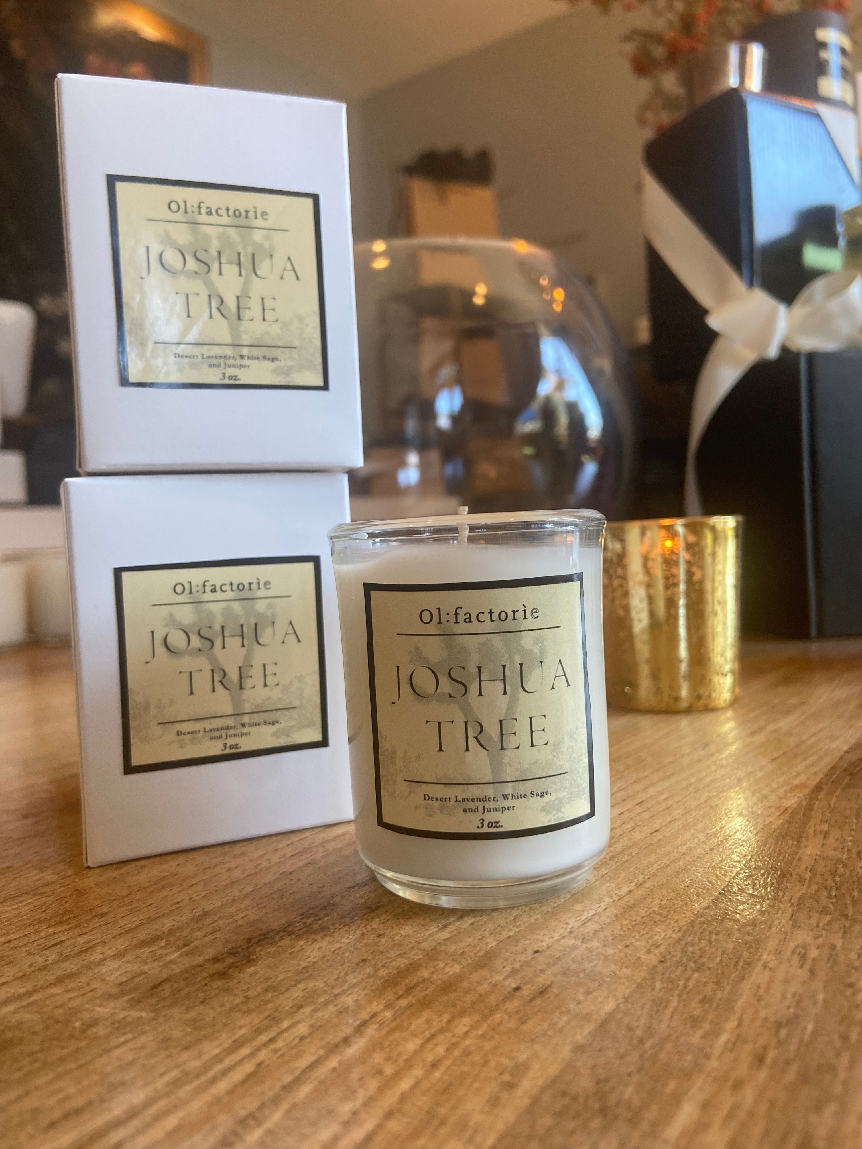 Joshua Tree Candle - Olfactorie Candles + Apothecary Boutique