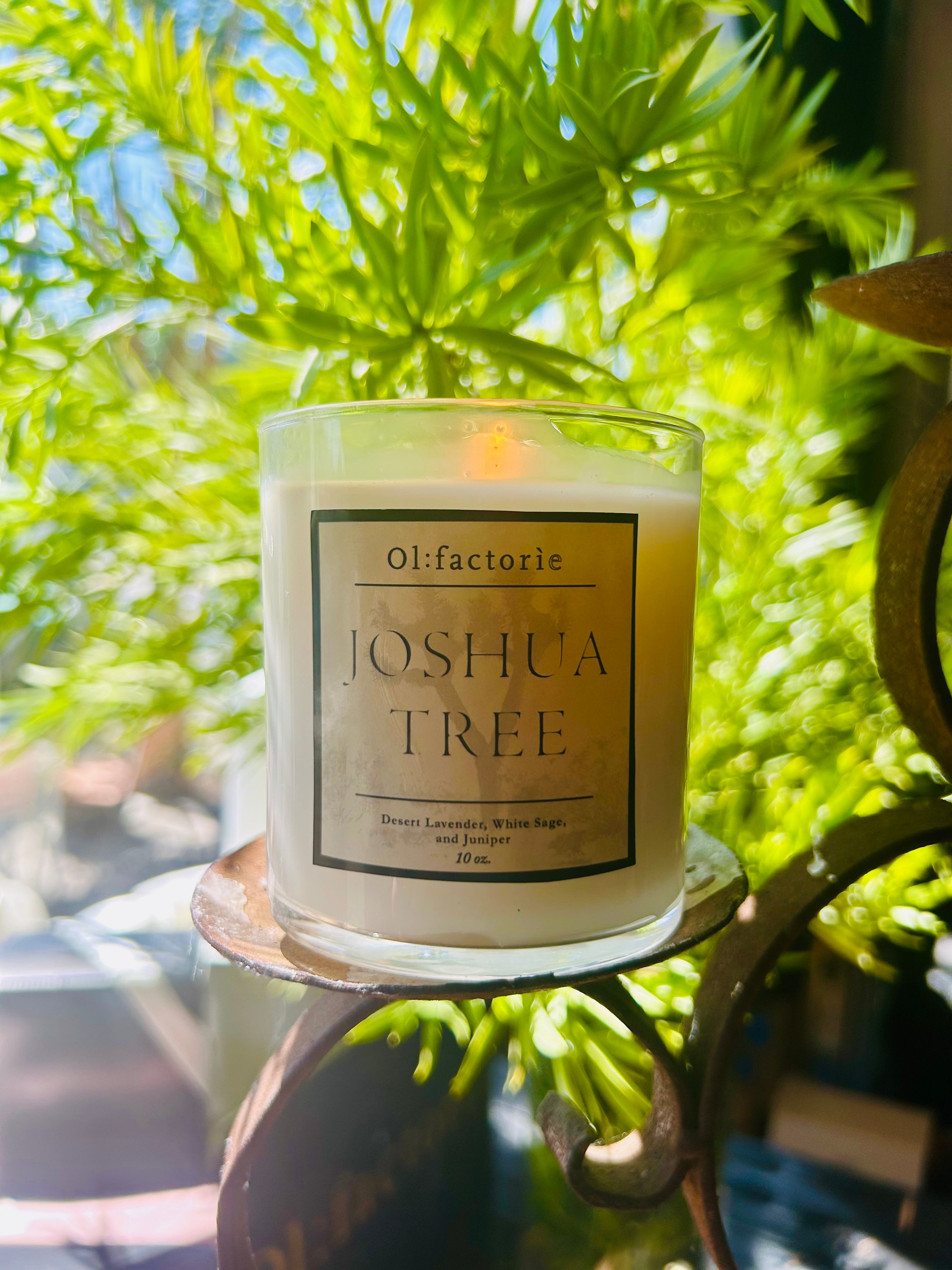 Joshua Tree Candle - Olfactorie Candles + Apothecary Boutique